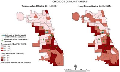 Lung Cancer Screening and Epigenetics in African Americans: The Role of the Socioecological Framework